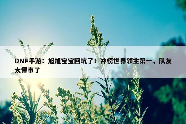 DNF手游：旭旭宝宝回坑了！冲榜世界领主第一，队友太懂事了