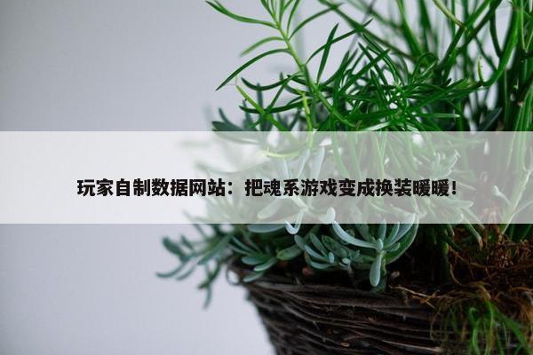 玩家自制数据网站：把魂系游戏变成换装暖暖！