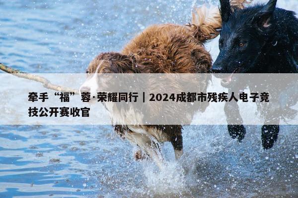 牵手“福”蓉·荣耀同行｜2024成都市残疾人电子竞技公开赛收官