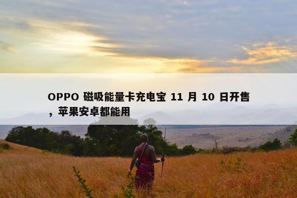 OPPO 磁吸能量卡充电宝 11 月 10 日开售，苹果安卓都能用