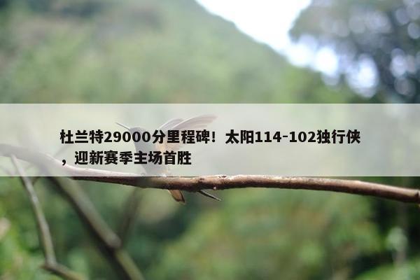 杜兰特29000分里程碑！太阳114-102独行侠，迎新赛季主场首胜