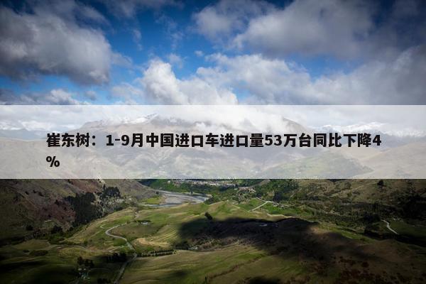 崔东树：1-9月中国进口车进口量53万台同比下降4%