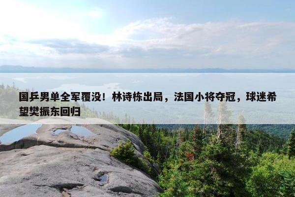 国乒男单全军覆没！林诗栋出局，法国小将夺冠，球迷希望樊振东回归