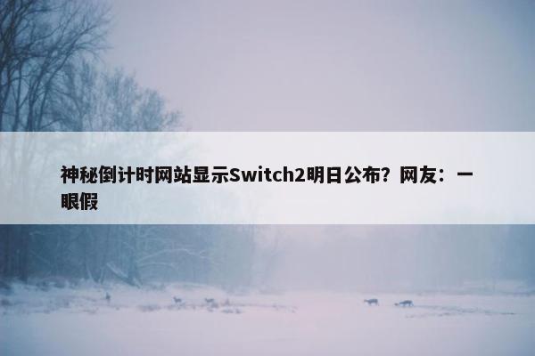 神秘倒计时网站显示Switch2明日公布？网友：一眼假