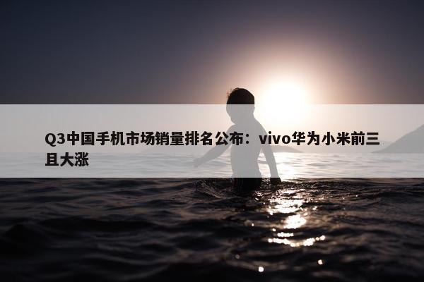 Q3中国手机市场销量排名公布：vivo华为小米前三且大涨