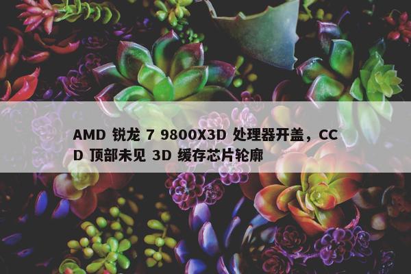 AMD 锐龙 7 9800X3D 处理器开盖，CCD 顶部未见 3D 缓存芯片轮廓