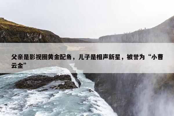 父亲是影视圈黄金配角，儿子是相声新星，被誉为“小曹云金”