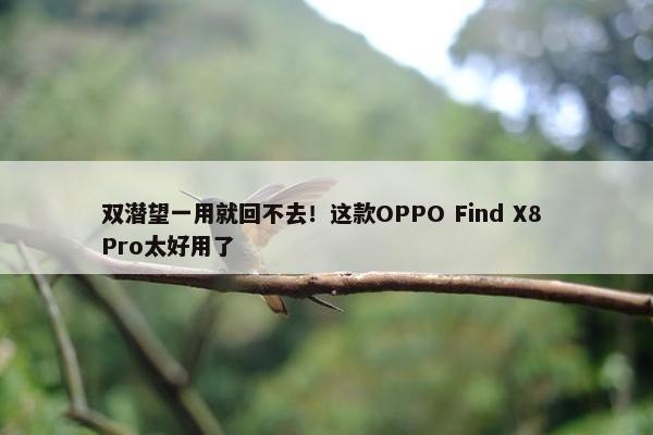 双潜望一用就回不去！这款OPPO Find X8 Pro太好用了