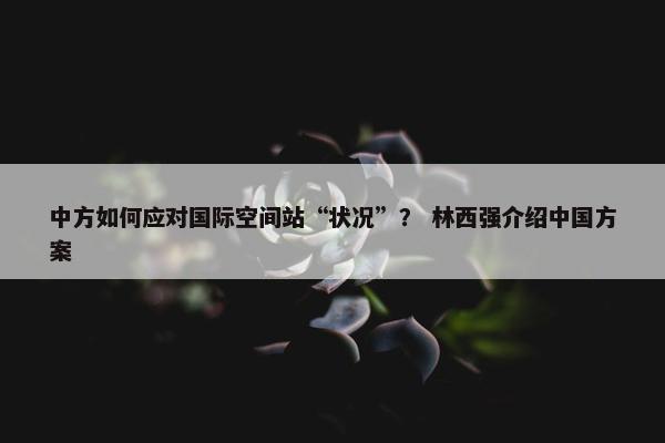 中方如何应对国际空间站“状况”？ 林西强介绍中国方案