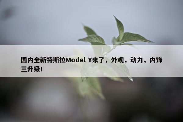 国内全新特斯拉Model Y来了，外观，动力，内饰三升级！