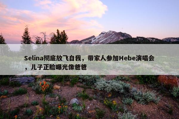 Selina彻底放飞自我，带家人参加Hebe演唱会，儿子正脸曝光像爸爸