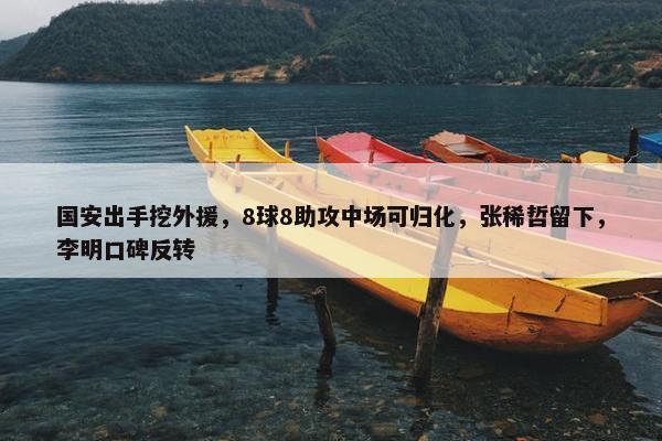 国安出手挖外援，8球8助攻中场可归化，张稀哲留下，李明口碑反转