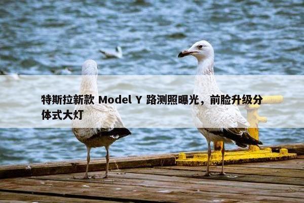 特斯拉新款 Model Y 路测照曝光，前脸升级分体式大灯