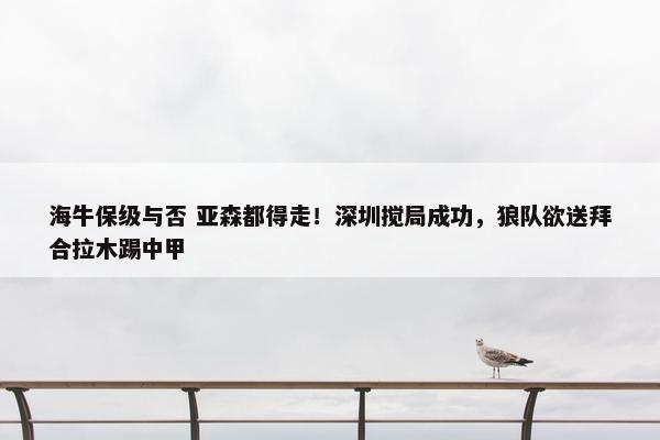 海牛保级与否 亚森都得走！深圳搅局成功，狼队欲送拜合拉木踢中甲