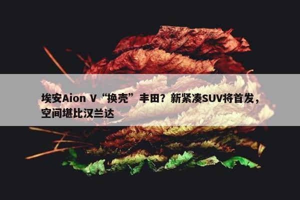 埃安Aion V“换壳”丰田？新紧凑SUV将首发，空间堪比汉兰达