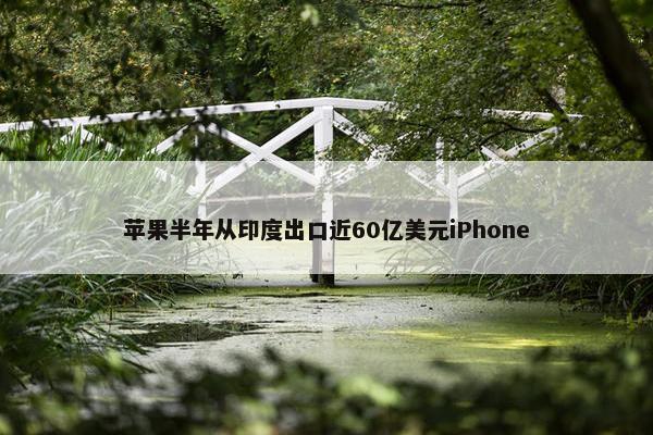 苹果半年从印度出口近60亿美元iPhone