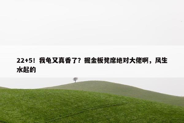 22+5！我龟又真香了？掘金板凳席绝对大佬啊，风生水起的