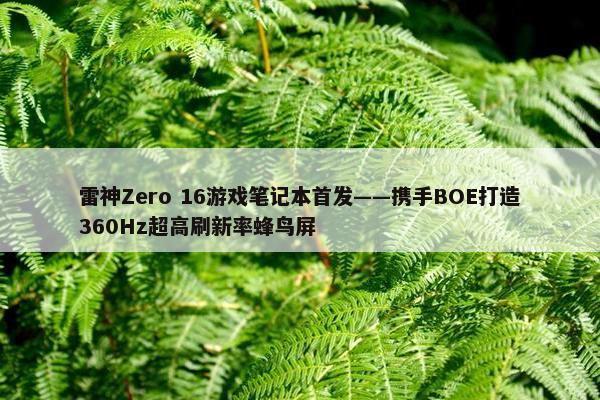 雷神Zero 16游戏笔记本首发——携手BOE打造360Hz超高刷新率蜂鸟屏