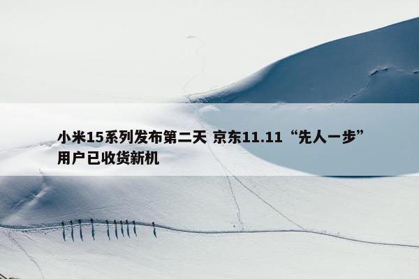 小米15系列发布第二天 京东11.11“先人一步”用户已收货新机