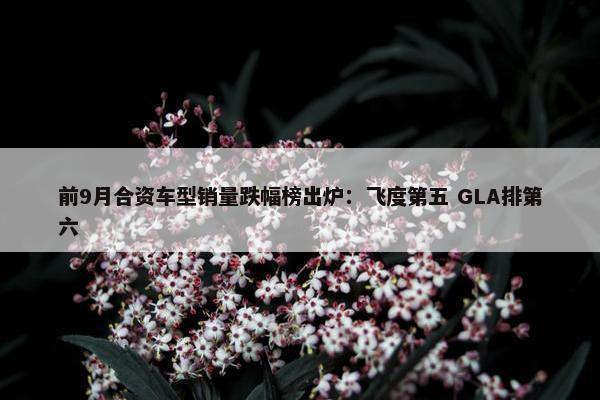 前9月合资车型销量跌幅榜出炉：飞度第五 GLA排第六