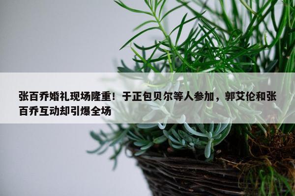 张百乔婚礼现场隆重！于正包贝尔等人参加，郭艾伦和张百乔互动却引爆全场