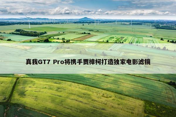 真我GT7 Pro将携手贾樟柯打造独家电影滤镜