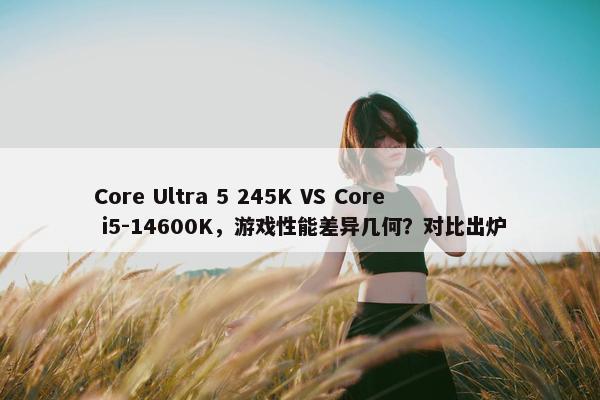 Core Ultra 5 245K VS Core i5-14600K，游戏性能差异几何？对比出炉