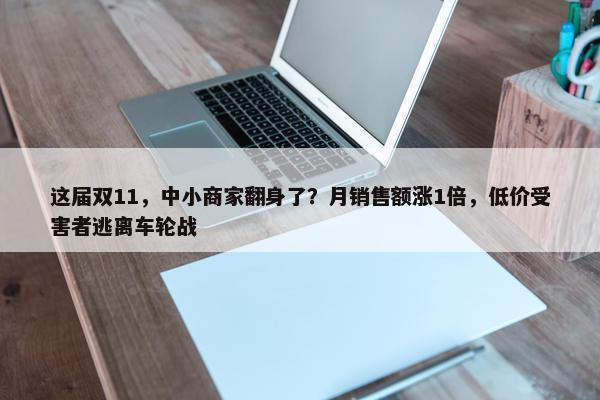 这届双11，中小商家翻身了？月销售额涨1倍，低价受害者逃离车轮战