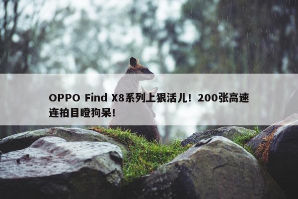 OPPO Find X8系列上狠活儿！200张高速连拍目瞪狗呆！