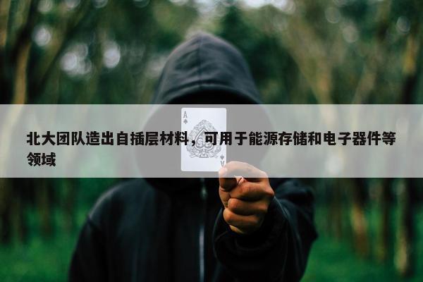 北大团队造出自插层材料，可用于能源存储和电子器件等领域