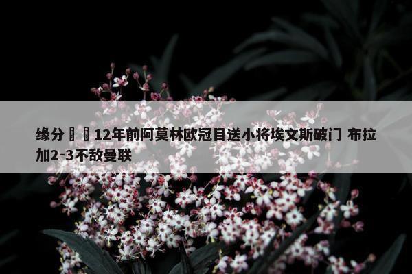 缘分⌛️12年前阿莫林欧冠目送小将埃文斯破门 布拉加2-3不敌曼联