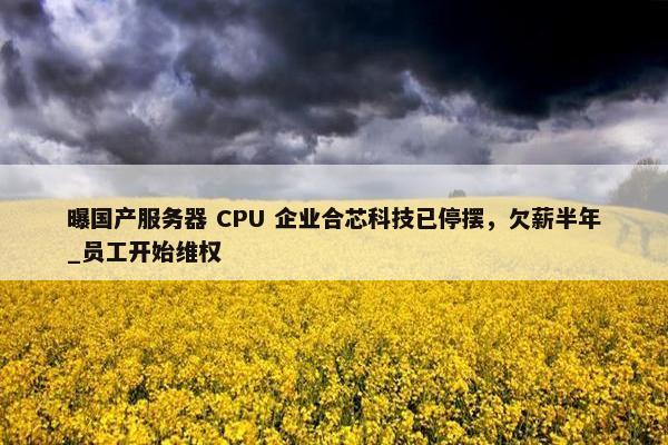 曝国产服务器 CPU 企业合芯科技已停摆，欠薪半年_员工开始维权