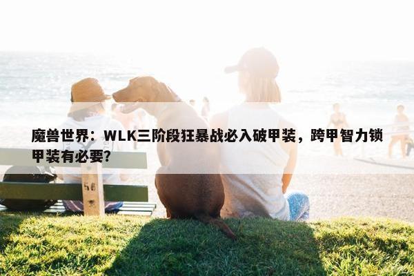 魔兽世界：WLK三阶段狂暴战必入破甲装，跨甲智力锁甲装有必要？