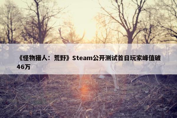 《怪物猎人：荒野》Steam公开测试首日玩家峰值破46万