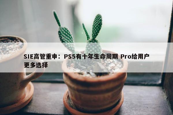 SIE高管重申：PS5有十年生命周期 Pro给用户更多选择