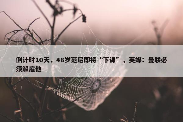 倒计时10天，48岁范尼即将“下课”，英媒：曼联必须解雇他