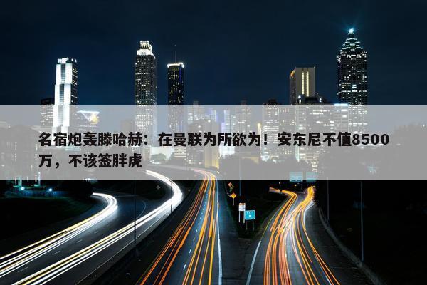 名宿炮轰滕哈赫：在曼联为所欲为！安东尼不值8500万，不该签胖虎