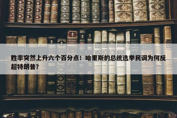 胜率突然上升六个百分点！哈里斯的总统选举民调为何反超特朗普？