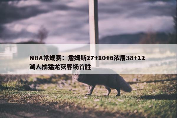 NBA常规赛：詹姆斯27+10+6浓眉38+12 湖人擒猛龙获客场首胜