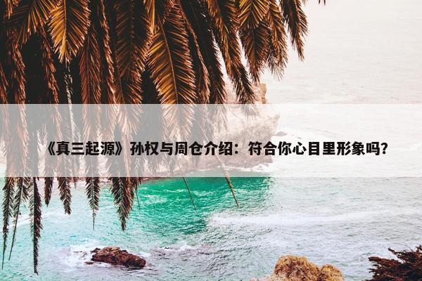 《真三起源》孙权与周仓介绍：符合你心目里形象吗？