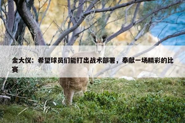 金大仪：希望球员们能打出战术部署，奉献一场精彩的比赛