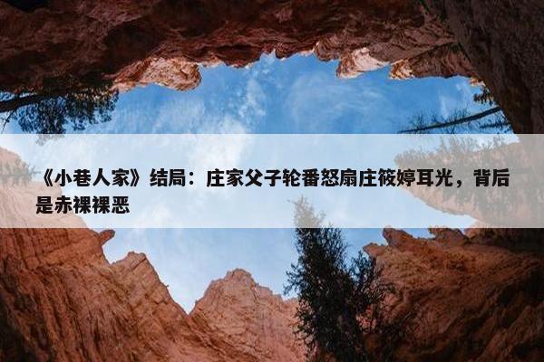 《小巷人家》结局：庄家父子轮番怒扇庄筱婷耳光，背后是赤裸裸恶