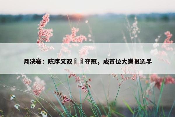 月决赛：陈序又双叒叕夺冠，成首位大满贯选手