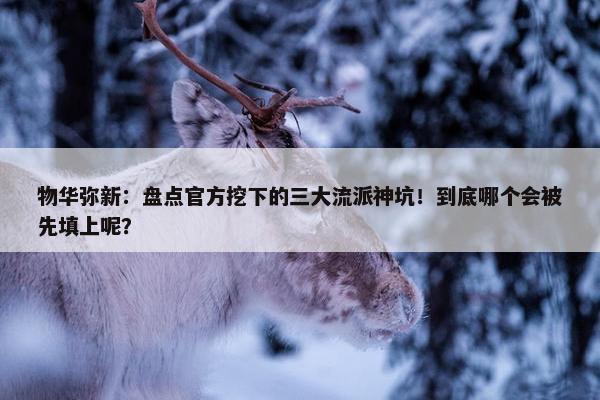 物华弥新：盘点官方挖下的三大流派神坑！到底哪个会被先填上呢？