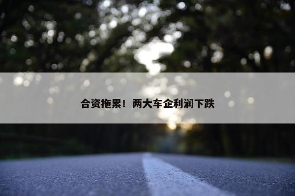 合资拖累！两大车企利润下跌