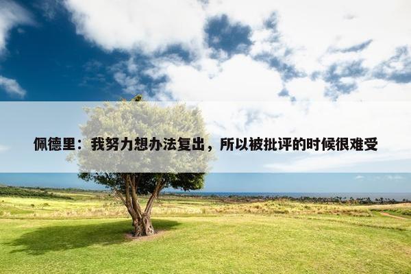 佩德里：我努力想办法复出，所以被批评的时候很难受