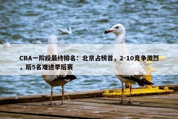 CBA一阶段最终排名：北京占榜首，2-10竞争激烈，后5名难进季后赛