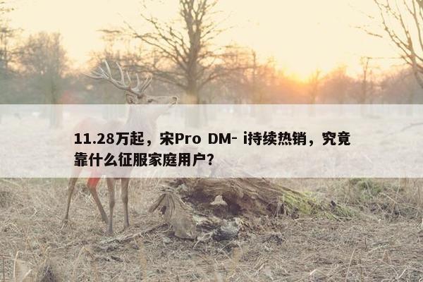 11.28万起，宋Pro DM- i持续热销，究竟靠什么征服家庭用户？