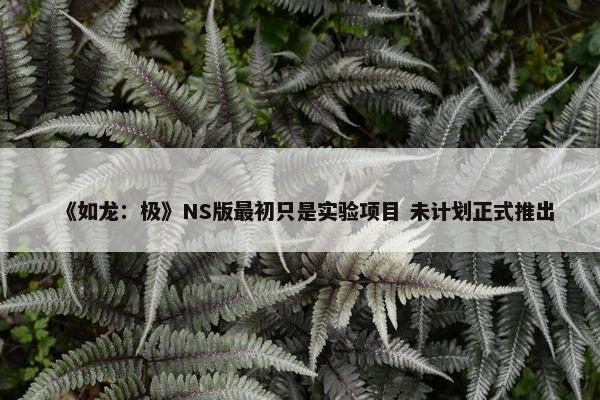 《如龙：极》NS版最初只是实验项目 未计划正式推出