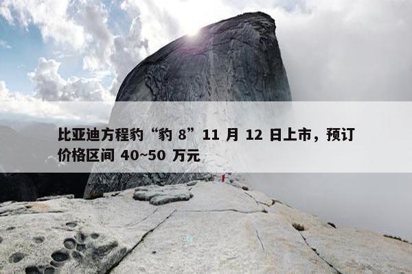 比亚迪方程豹“豹 8”11 月 12 日上市，预订价格区间 40~50 万元